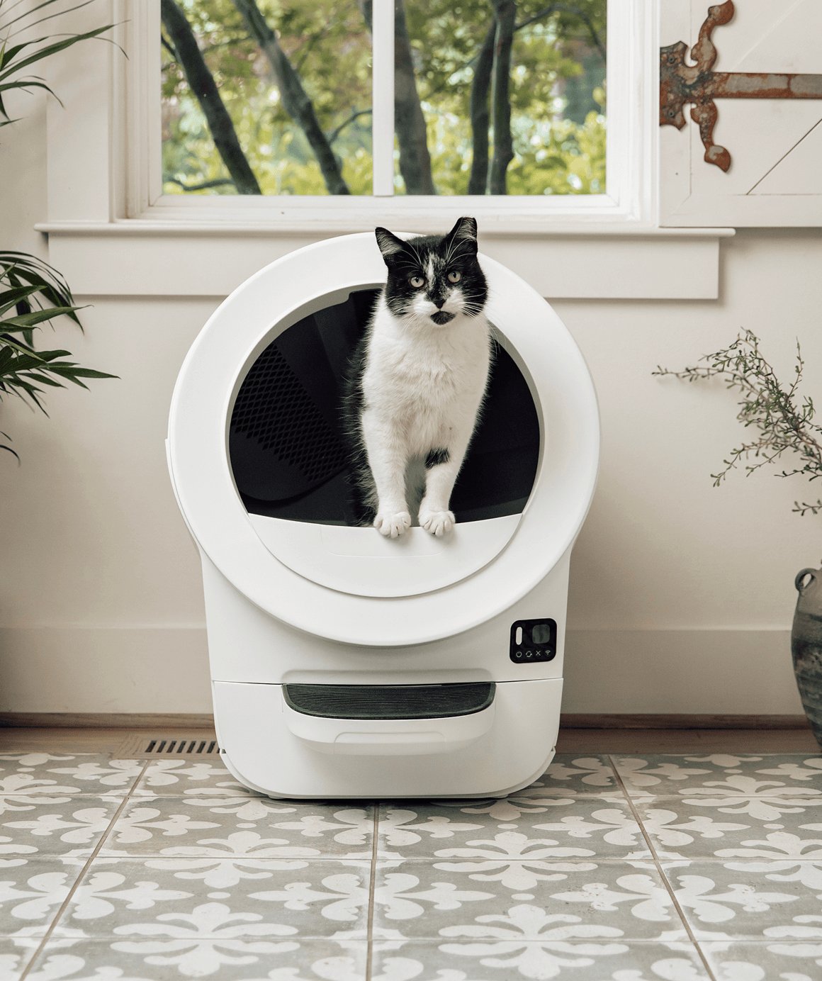 The Best Smart Self-Cleaning Litter Boxes for Singapore HDB Pawrents in 2026