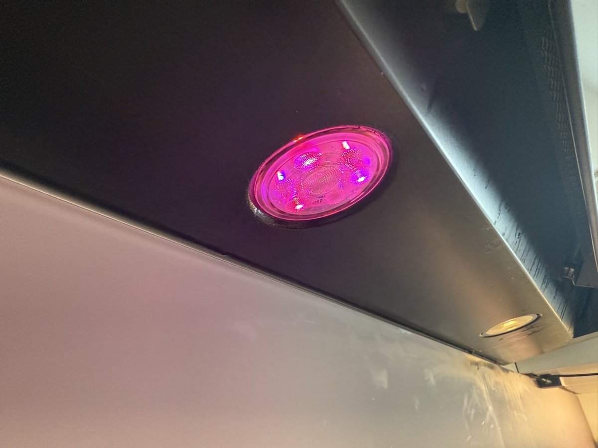 Philips Hue Is Finally Adding Thread: What Concurrent Zigbee + Matter Actually Changes for Singapore Homes in 2026